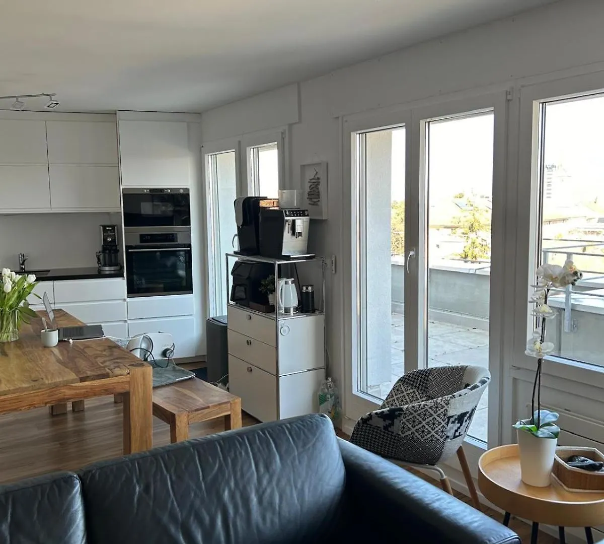 Baseliving Luxury Suite - Near Esc - Bahnhof Sbb - St Jakob 0*, בזל שוויץ